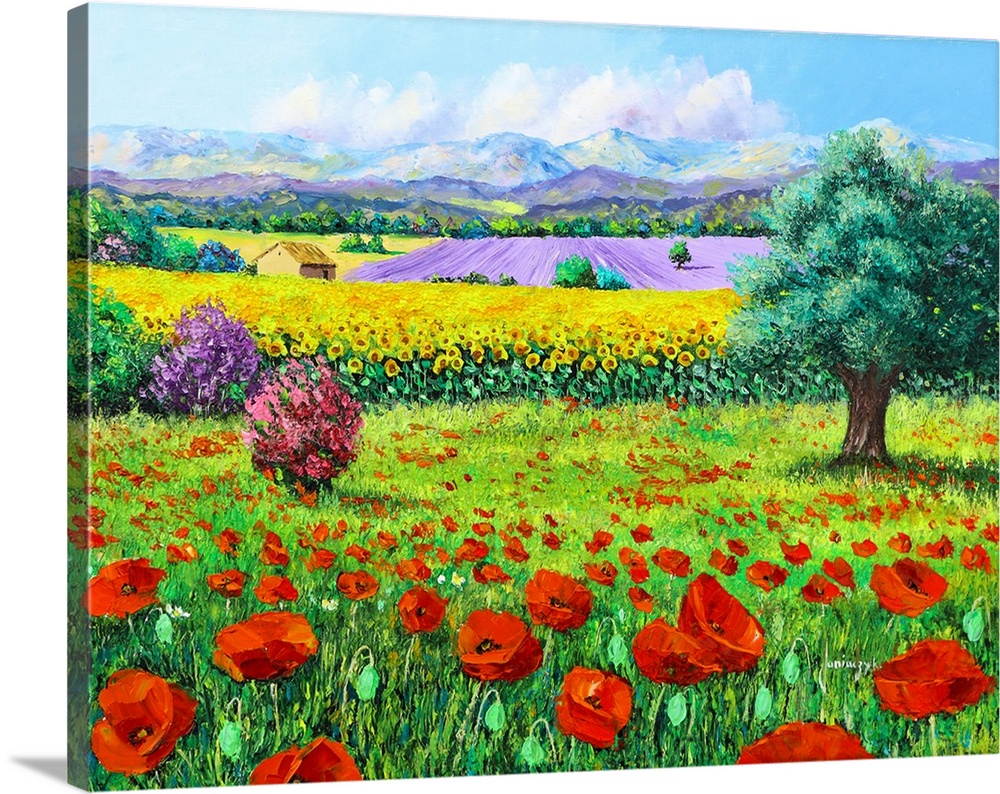 Painting of a rural landscape of flowering fields of bright red poppies.