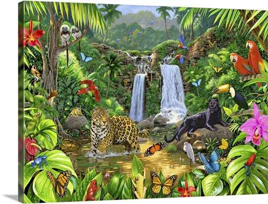 Rainforest Harmony I Wall Art, Canvas Prints, Framed Prints, Wall Peels ...