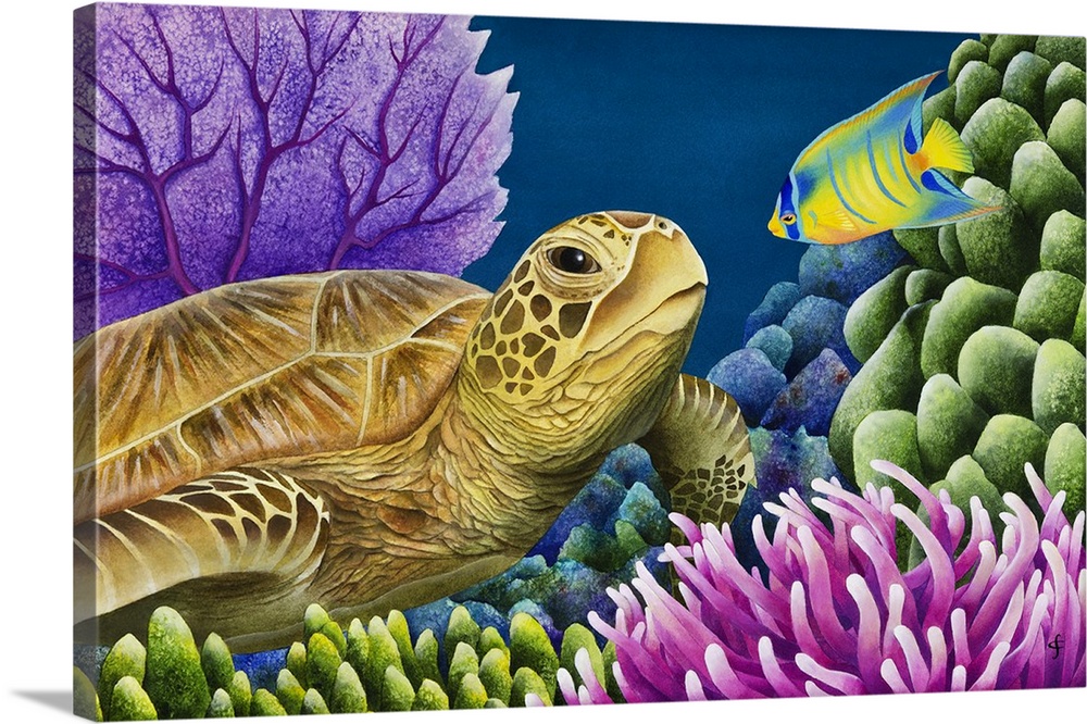 Watercolor painting of a sea turtle and a tropical fish starring at each other in a coral reef.