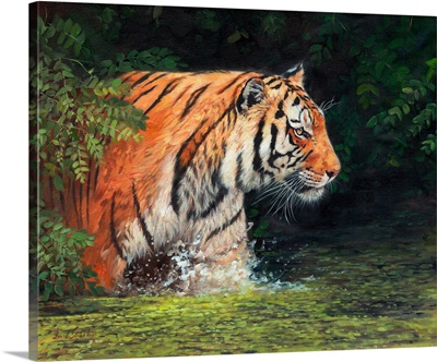 River Tiger