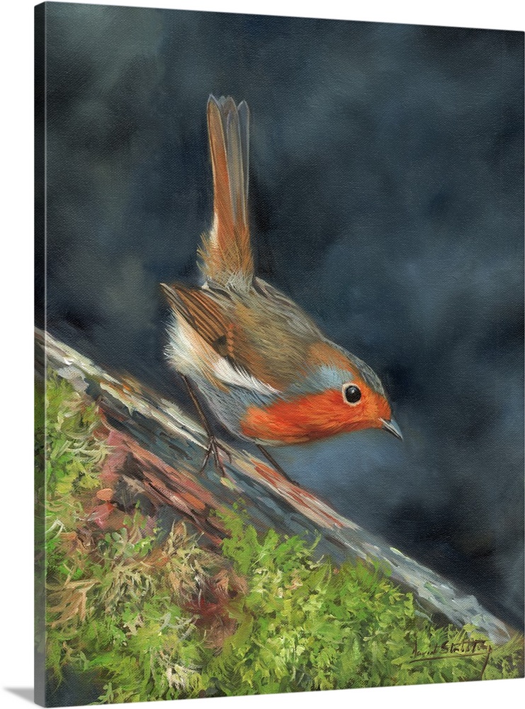 Contemporary painting of a robin perched on branch.