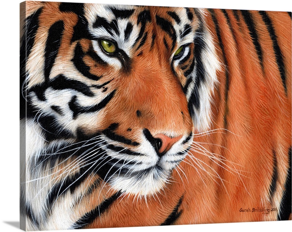 Siberian Tiger Portrait Wall Art, Canvas Prints, Framed Prints, Wall Peels Great Big Canvas