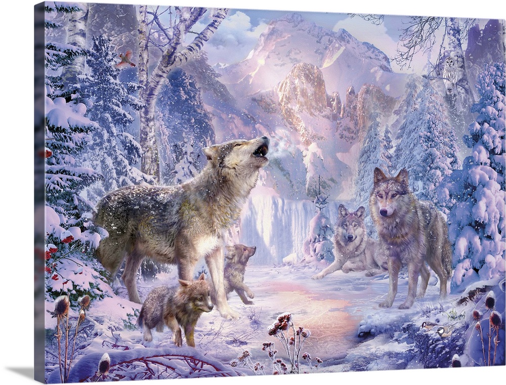Gray wolves standing around in a snow covered forest clearing in winter.