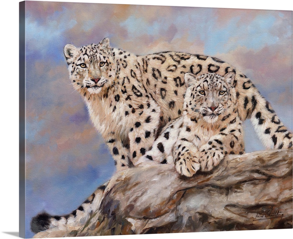 Snow Leopards, oil on canvas