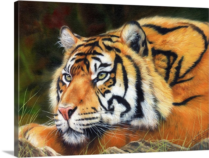 Sumatran Tiger Portrait | Great Big Canvas