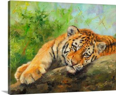 Tiger Cub On Rocks