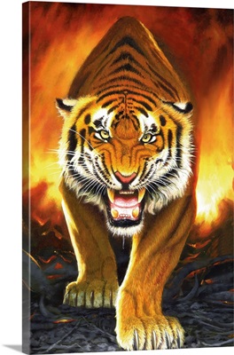 Tiger From The Embers