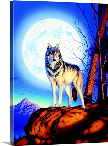 Timber Wolf Wall Art, Canvas Prints, Framed Prints, Wall Peels | Great