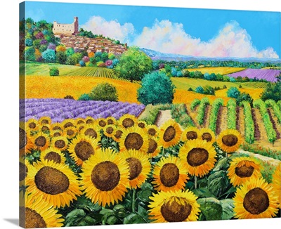 Vineyards And Sunflowers In Provence