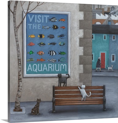 Visit The Aquarium