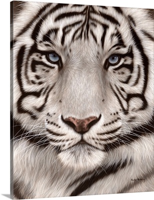 White Tiger Face Portrait
