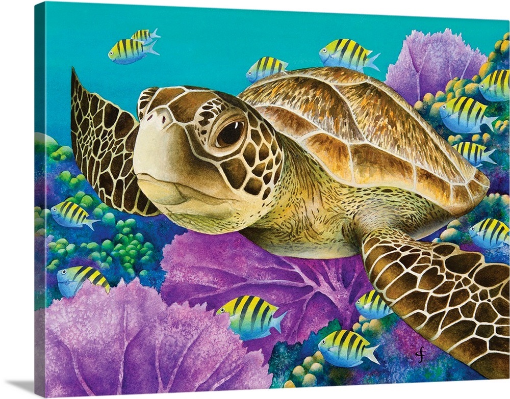 Young Green Sea Turtle Wall Art, Canvas Prints, Framed