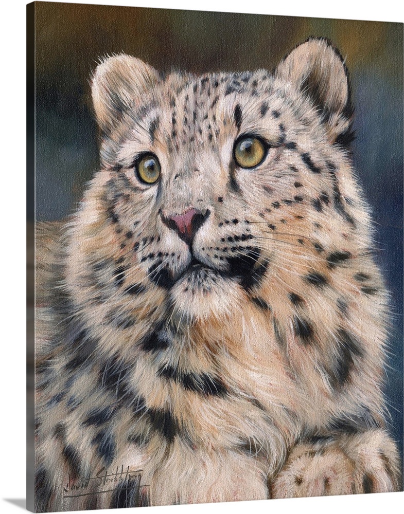 Painting of a young snow leopard looking curiously at something.