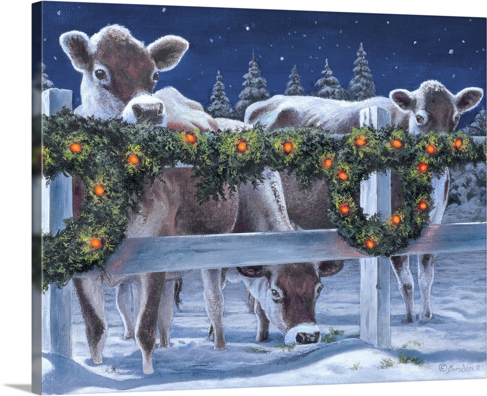 Contemporary painting of cows standing behind a fence decorated for Christmas.