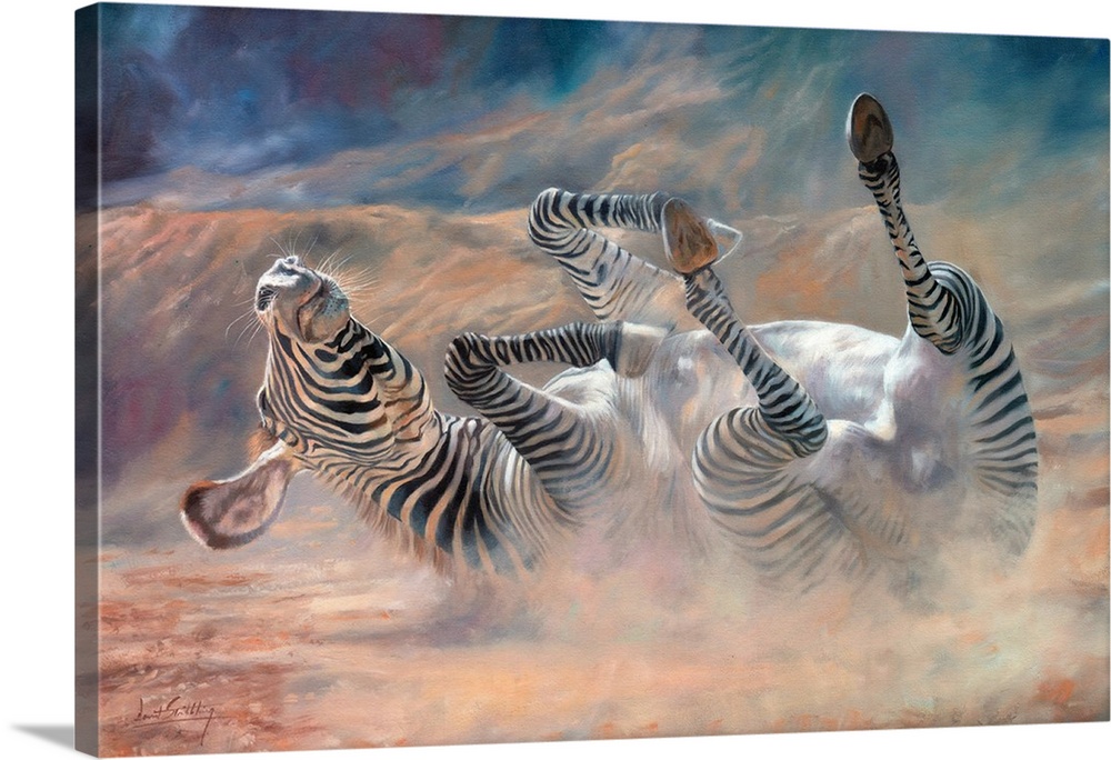 Zebra having a dust bath. Oil on canvas