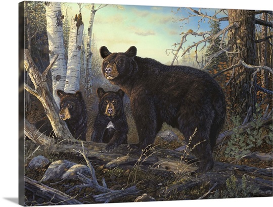 Absolutely Wild Black Bear Wall Art, Canvas Prints, Framed Prints, Wall ...