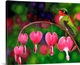 image thumbnail of Bleeding Heart