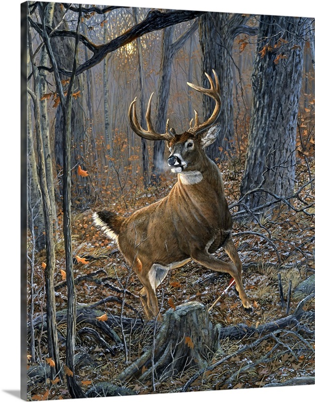Buck Fever Great Big Canvas