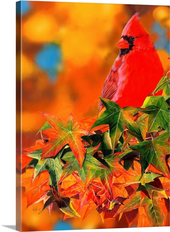 Cardinal Maple Cardinal Maple | Great Big Canvas