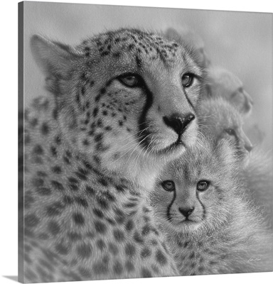 Cheetah Mother and Cubs - Mother's Love - Square