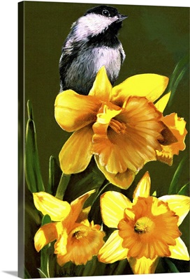 Chickadee and Daffodil