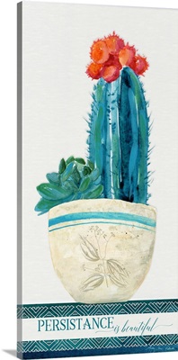 Colorful Cactus 5