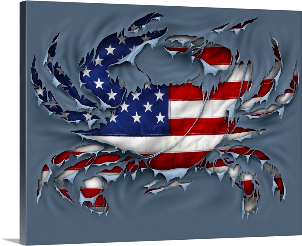 Crab american flag grey