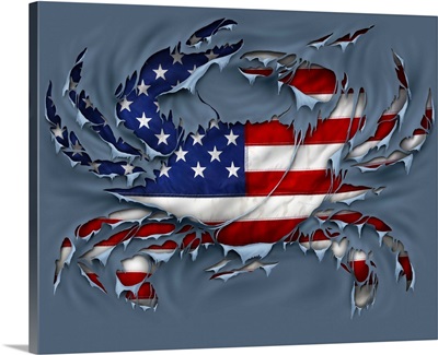 Crab american flag grey