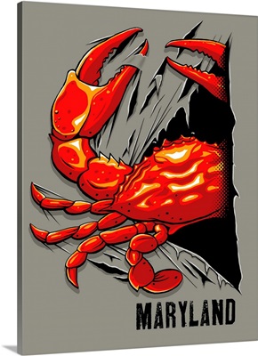 Crab Rip - Maryland