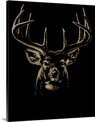 Deer portrait black