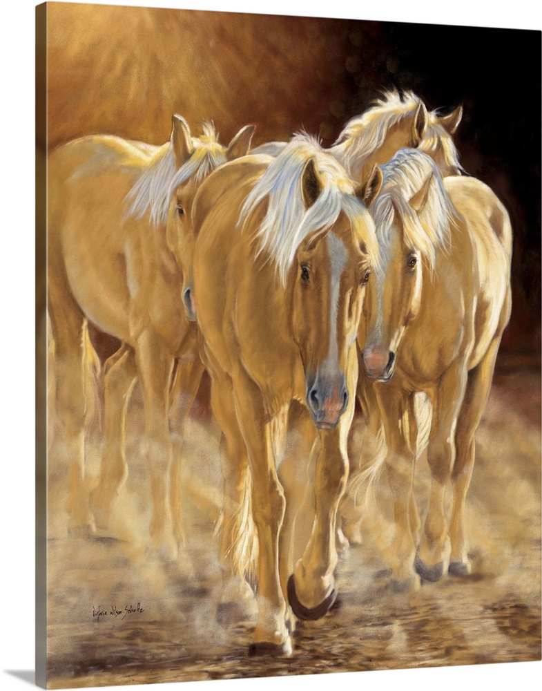 A herd of palomino horses walking in the late afternoon light.