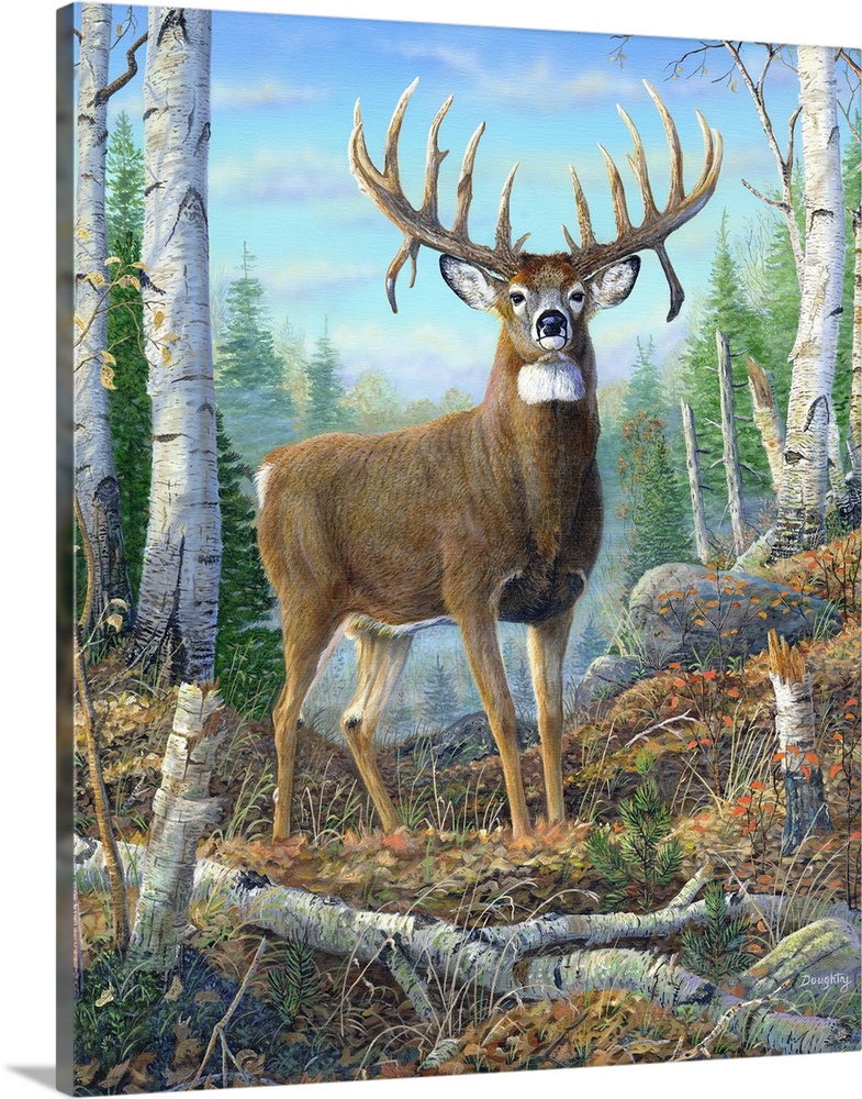 A deer with a large set of antlers standing proudly in a forest.