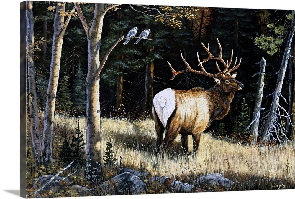 Elk Wall Art, Canvas Prints, Framed Prints, Wall Peels Great Big Canvas