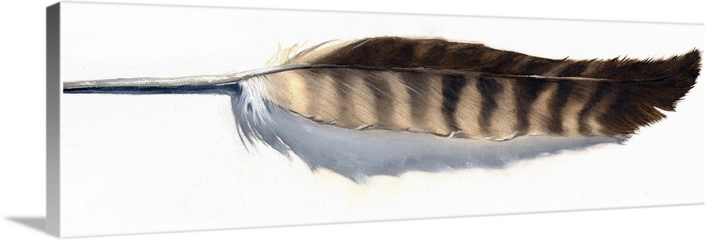 Contemporary painting of a single striped feather.