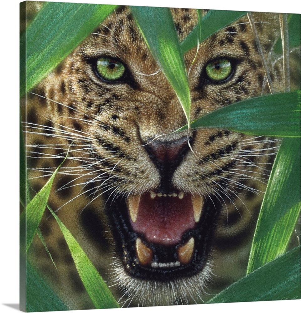 Jaguar - Ambush