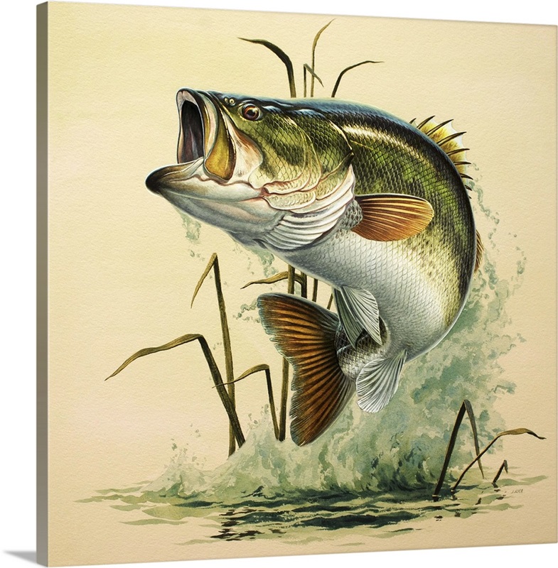 Leaping Bass | Large Metal Wall Art Print | Great Big Canvas