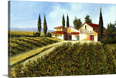Montepulciano Winery
