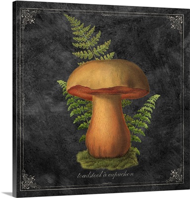Mushroom Style III