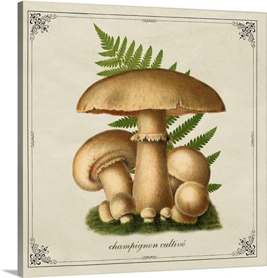 Mushroom Style IX