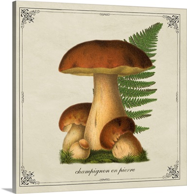 Mushroom Style VII
