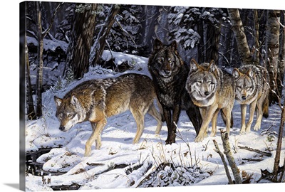On the Night Trail Wolves