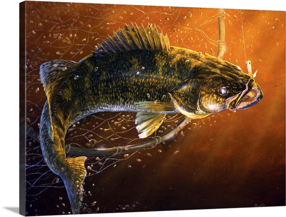 Out of the Net Walleye Wall Art, Canvas Prints, Framed Prints, Wall Peels