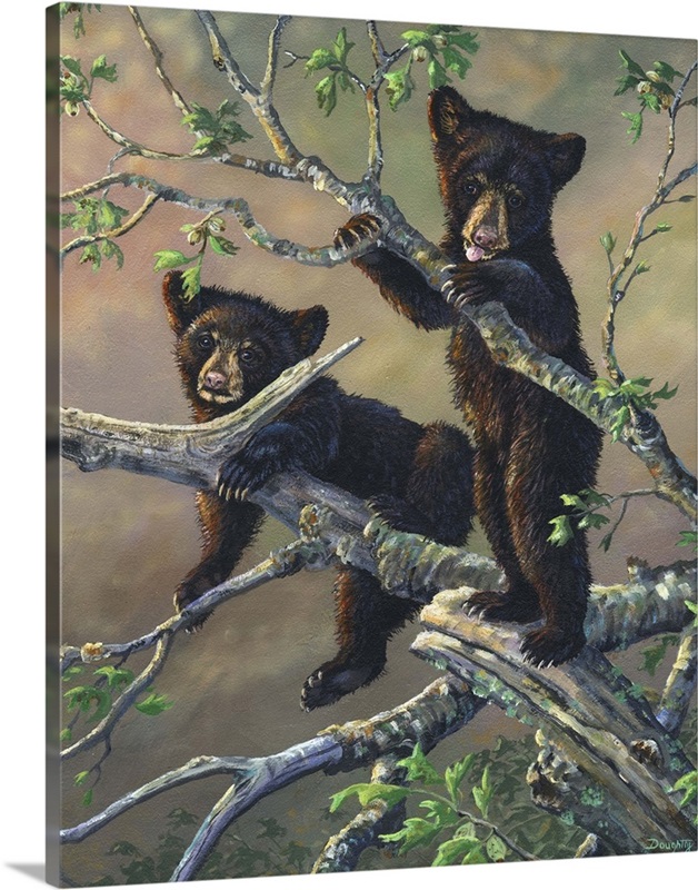 Out on a Limb Bear | Great Big Canvas