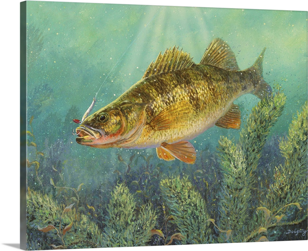 Perch Solid-Faced Canvas Print