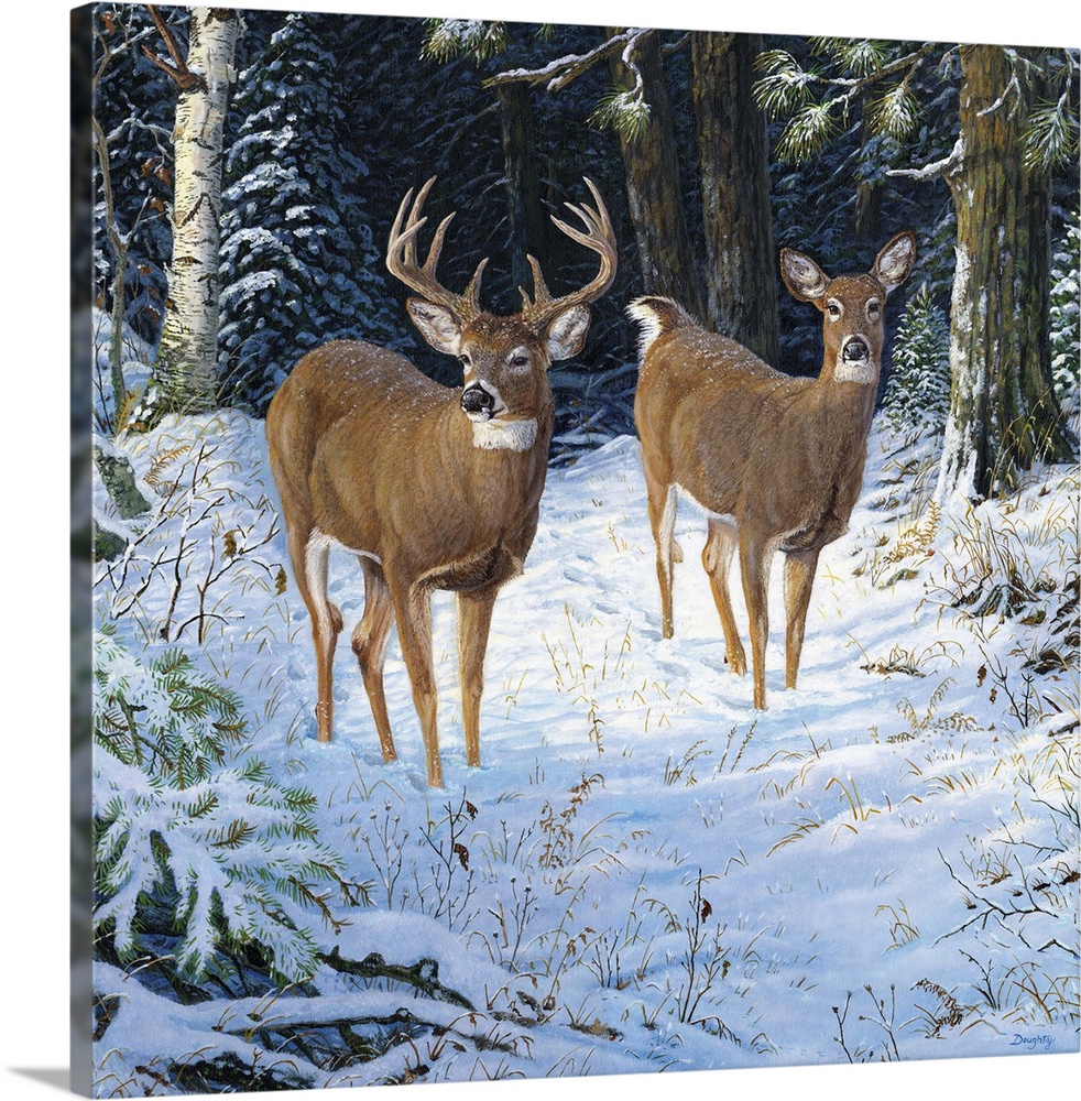 A pair of deer walking in a quiet forest in the snow.