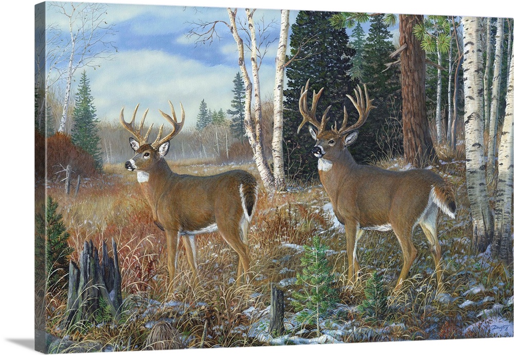 Contemporary artwork of two white tailed bucks at the edge of a forest on a cold day.