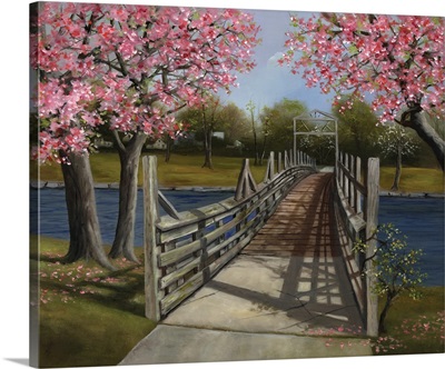 The Footbridge In Spring