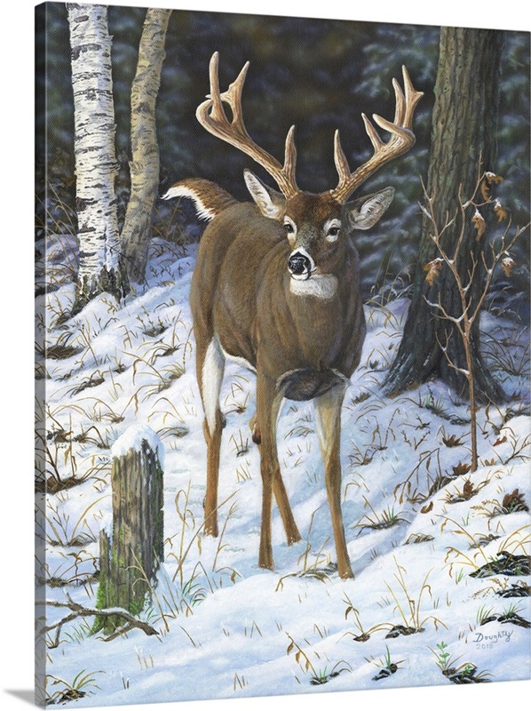 Whopper Whitetail Wall Art, Canvas Prints, Framed Prints, Wall Peels ...