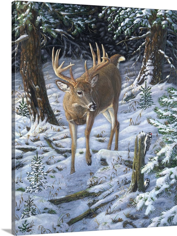 Winter Encounter | Great Big Canvas