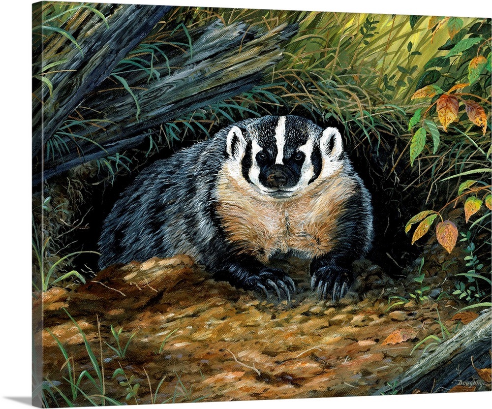 Wisconsin Badger Wall Art, Canvas Prints, Framed Prints, Wall Peels ...